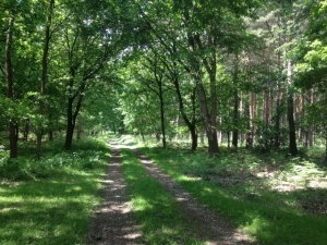 The Longhorn, SBR Events, Ultra, Thoresby